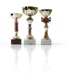 награды фитнес клуба